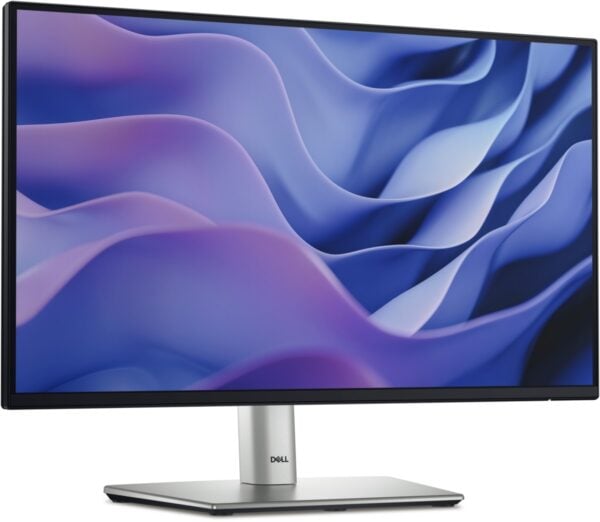 Monitor Dell Pro 22 Plus 21,5" Full HD IPS 100Hz USB-C (P2225H) - comprar en Córdoba | LobbyX